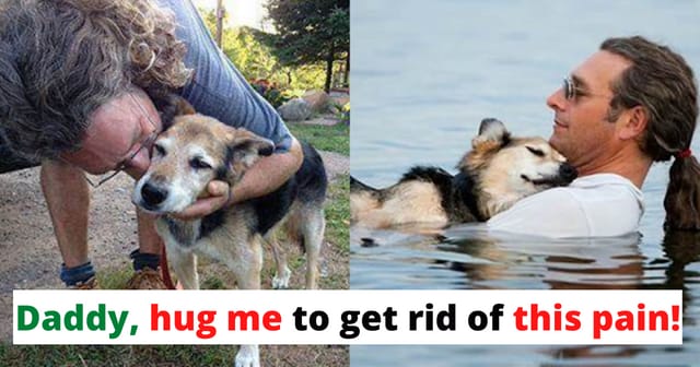 Story of a dog owner who was able to comfort his doggy from the pain due to arthritis!