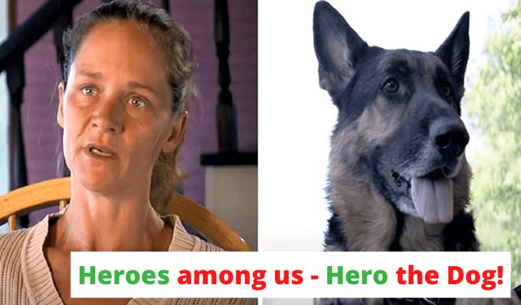 Homeless Dog rescued a Woman who was in a car accident!